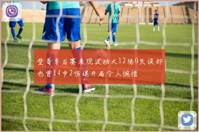 登哥季后赛表现波动大12场0失误却也曾14中2伤退开局令人惋惜