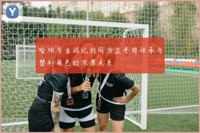 哈珀与吉诺比利同为左手将传承与替补角色的深厚关系